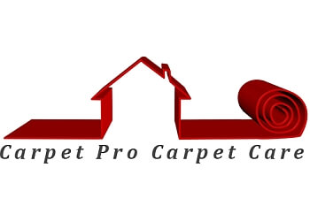 CARPET PRO CARPET CARE