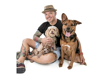 METRO PUP SA DOG WALKING & PET SITTING, LLC