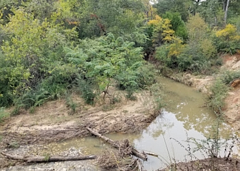 CROSS TIMBERS PARK