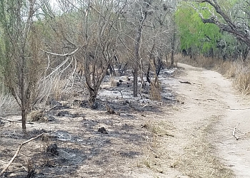 SANTA ANA NATIONAL WILDLIFE REFUGE