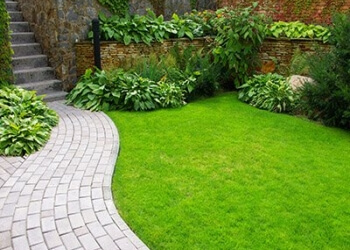 TEXAS TERRAIN LAWN CARE